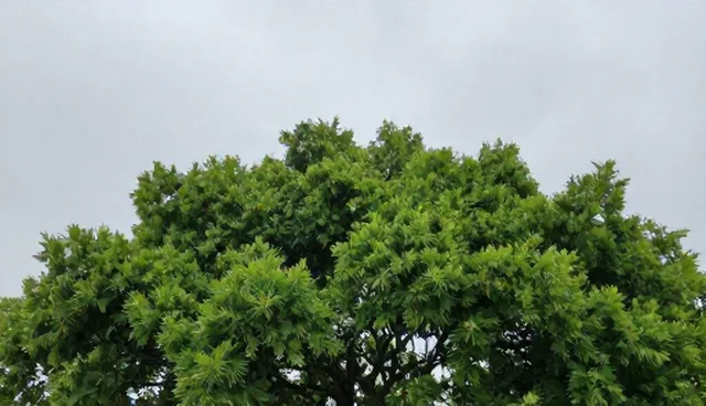 故障排查中,技术支持与自主排查的取舍分析